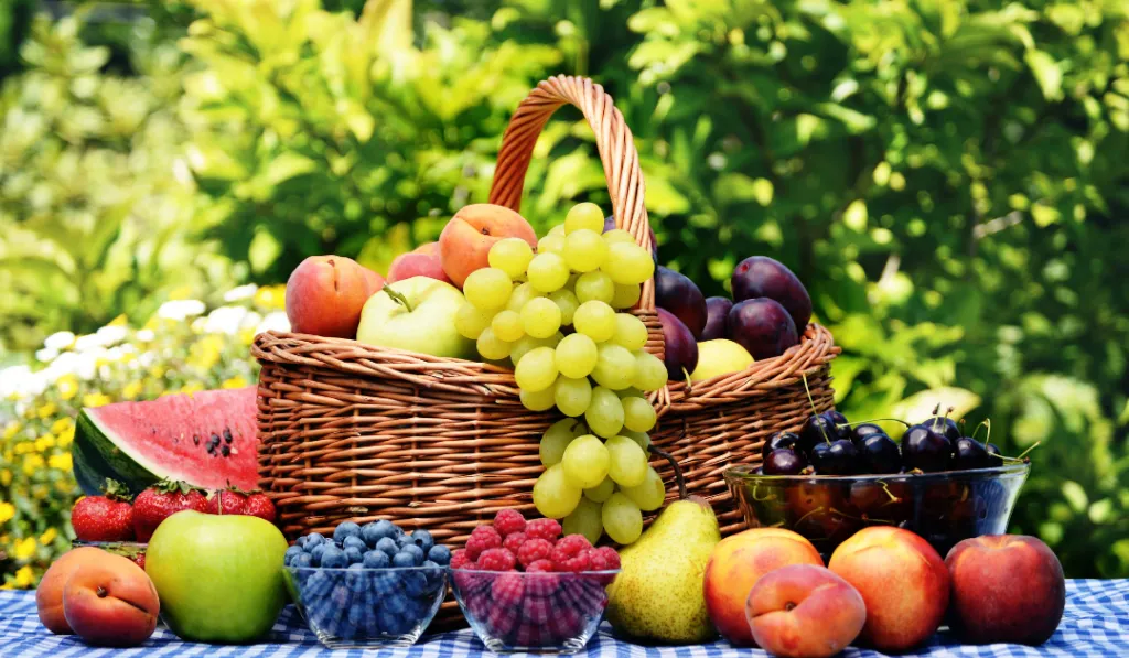 32 Foods That Burn Belly Fat Fast