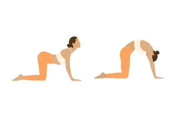 Ayurvedic Medicine for Back Pain Relief