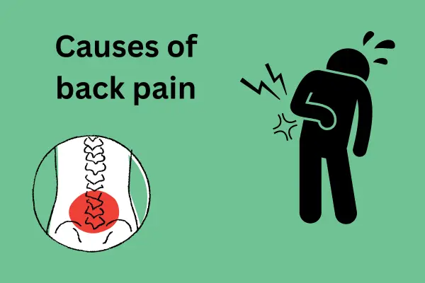 Ayurvedic Medicine for Back Pain Relief