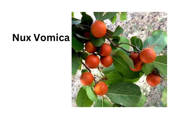 homeopathic medicine for headaches: Natural Relief Without Pharmaceuticals