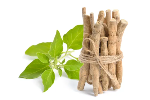 Ayurvedic Treatment for Hair Loss and Regrowth