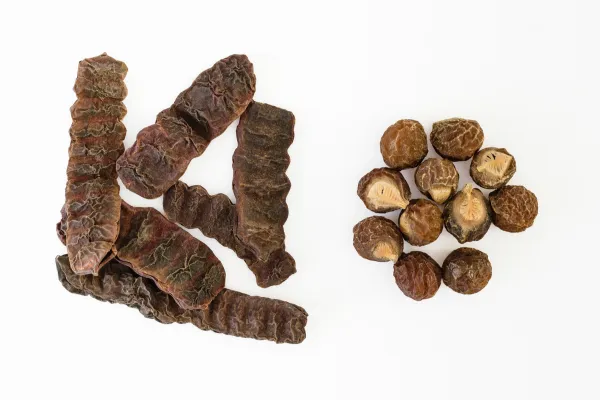 Ayurvedic Treatment for Hair Loss and Regrowth