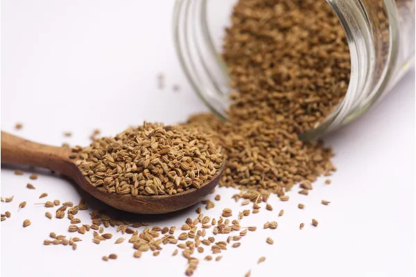 Ayurvedic Medicine for Gut health