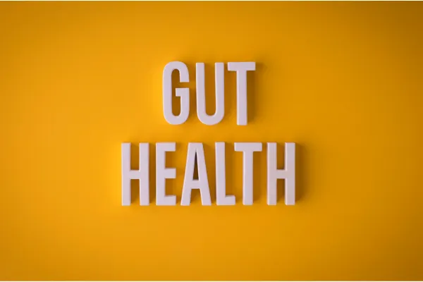 Ayurvedic Medicine for Gut health