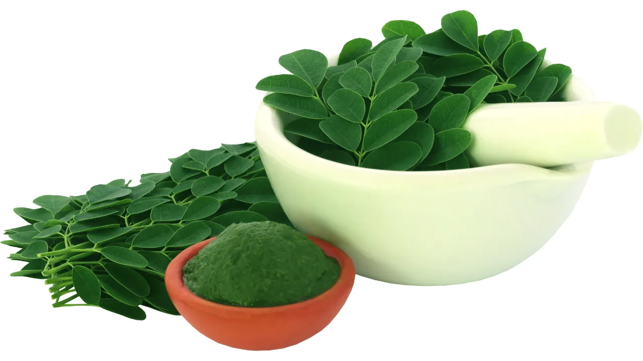 5 Weight Loss Lunch Recipes Indian Style to Help You Stay Fit
