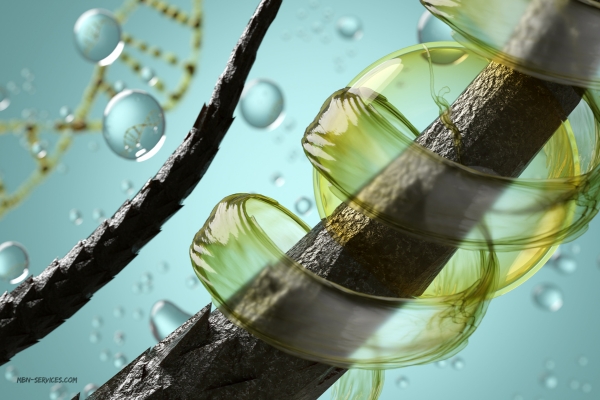 Best Hair Oil for White Hair