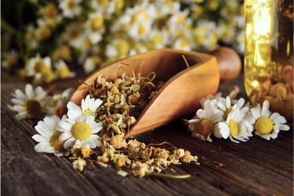 Herbal Skin Care Products for Radiant Skin