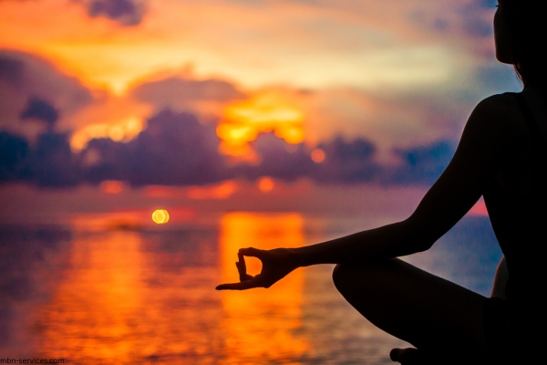 The Ultimate Guide to Sub-Niches and Micro-Niches in Fitness and Wellness