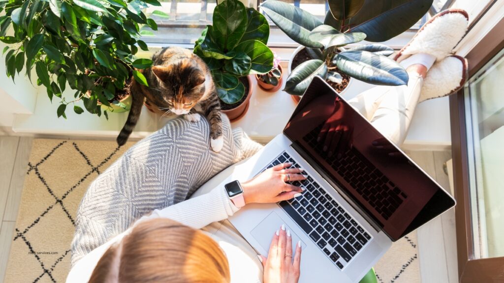 Sub Niches of Remote Work & Freelancing